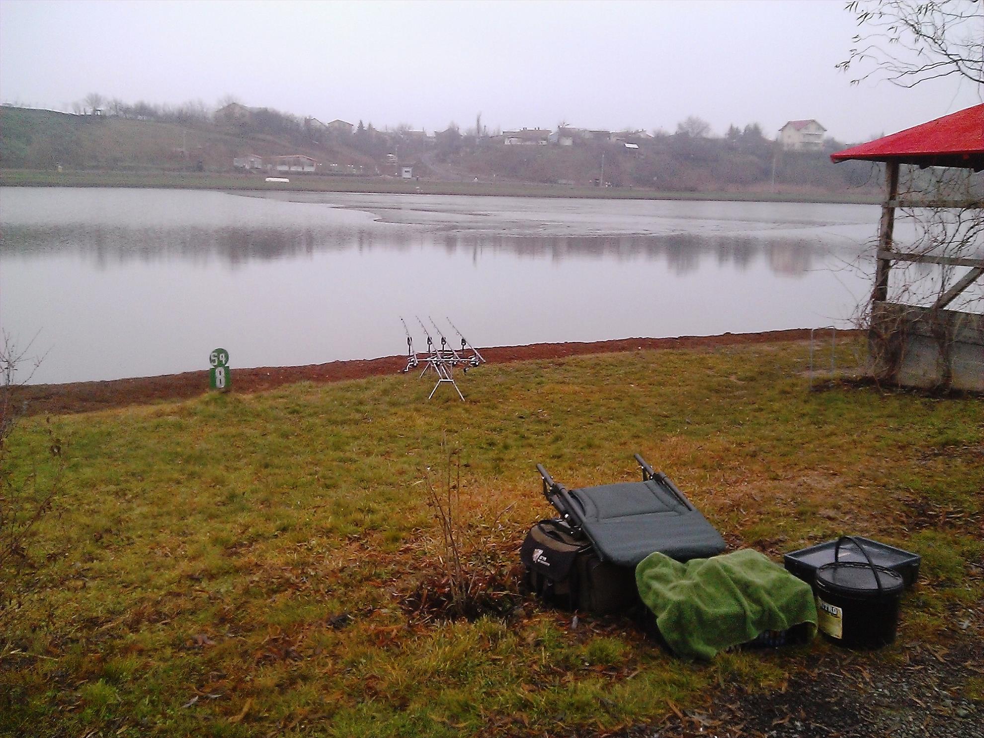 Floarea Popestiului 30 - 30 dec. - wp20131230023.jpg